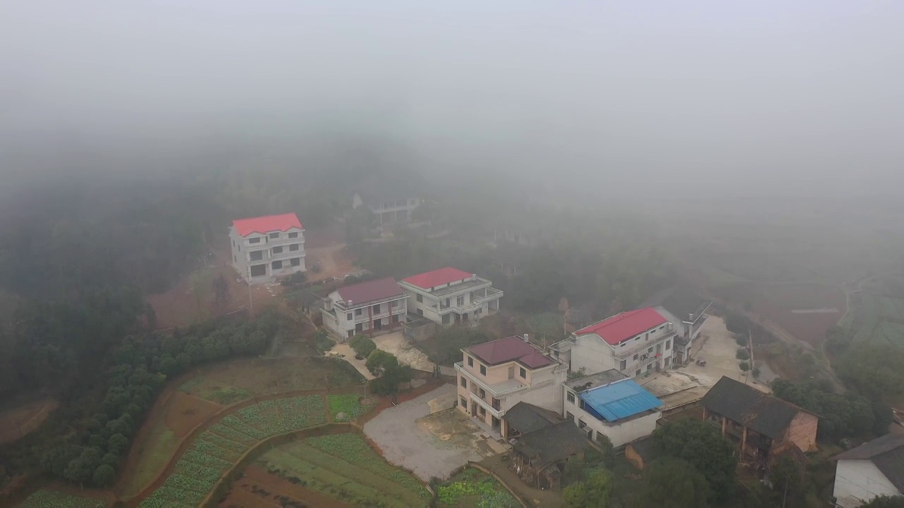 雨后山村新禾村（六）视频素材