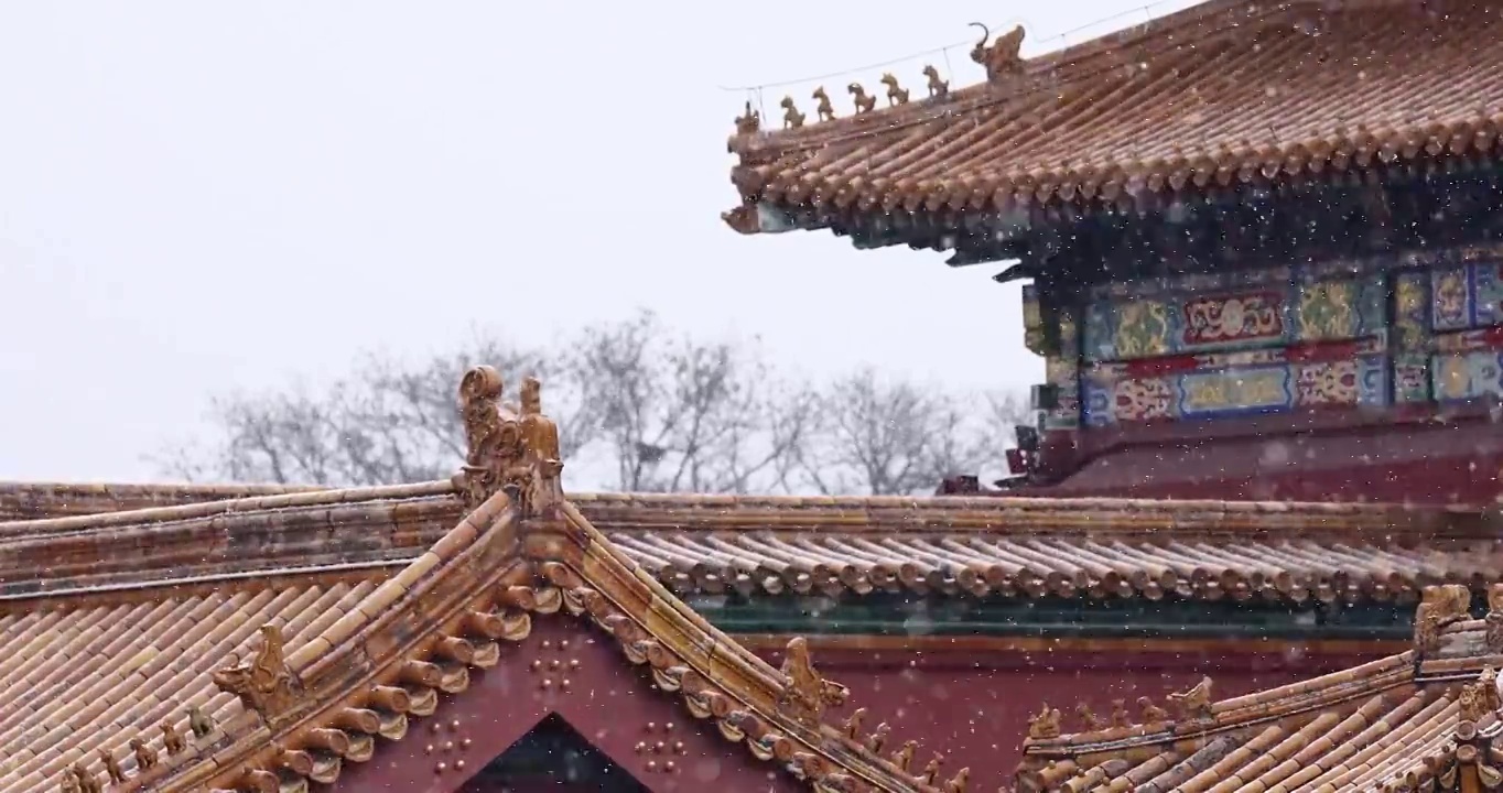 北京故宫的雪景，屋檐，建筑群，宫墙，宫殿，雪景，冬天，立冬，冬至，节气，中国文化，中国风，屋脊，建筑视频素材