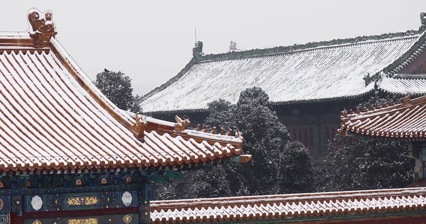 北京故宫的雪景，紫禁城，屋脊，雪，雪花，建筑结构，屋檐，屋顶，琉璃瓦，积雪，中国风，节气，立冬，冬至视频素材