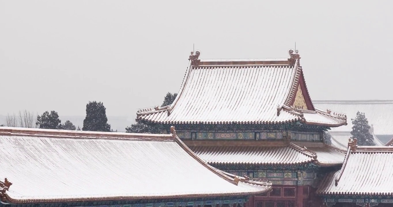 北京故宫雪景，紫禁城，栅栏，汉白玉，古建筑，宫殿，雪，雪景，中国文化，屋顶，屋檐，琉璃瓦，大雪，雪景视频素材