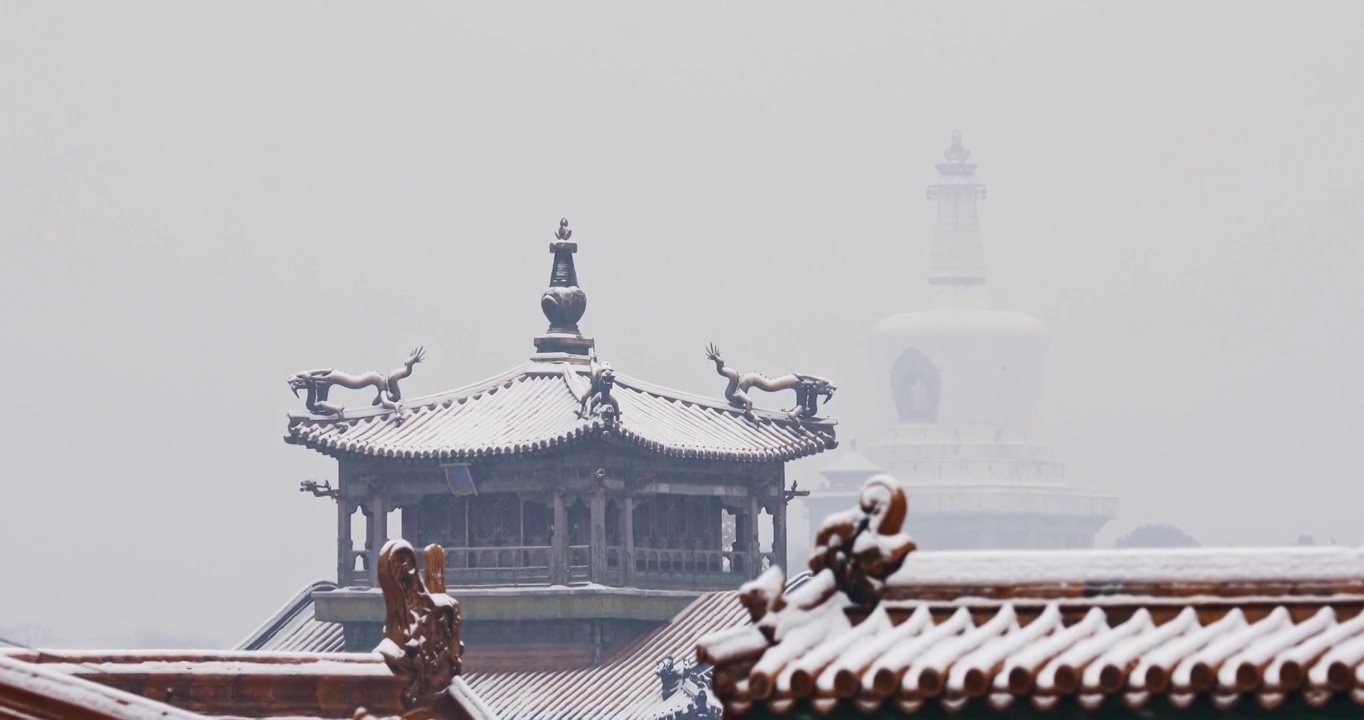 北京故宫雪景，白塔，北海公园，雪，雪景，冬天，中国文化，中国元素，大雪，小雪，素雅，淡雅，节气，建筑视频素材