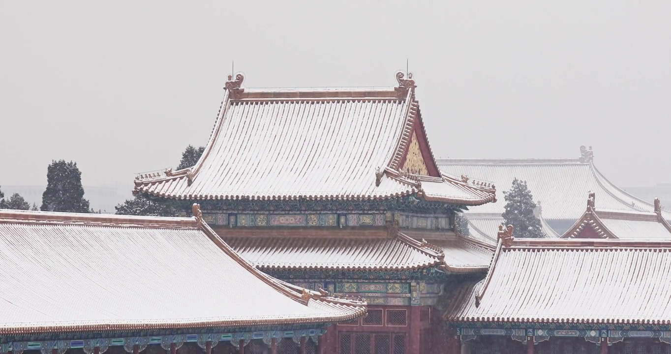 北京故宫雪景，紫禁城，全景，建筑外部，雪，雪花，大雪，小雪，中国元素，红墙，窗户，屋顶，节气，宫殿视频素材