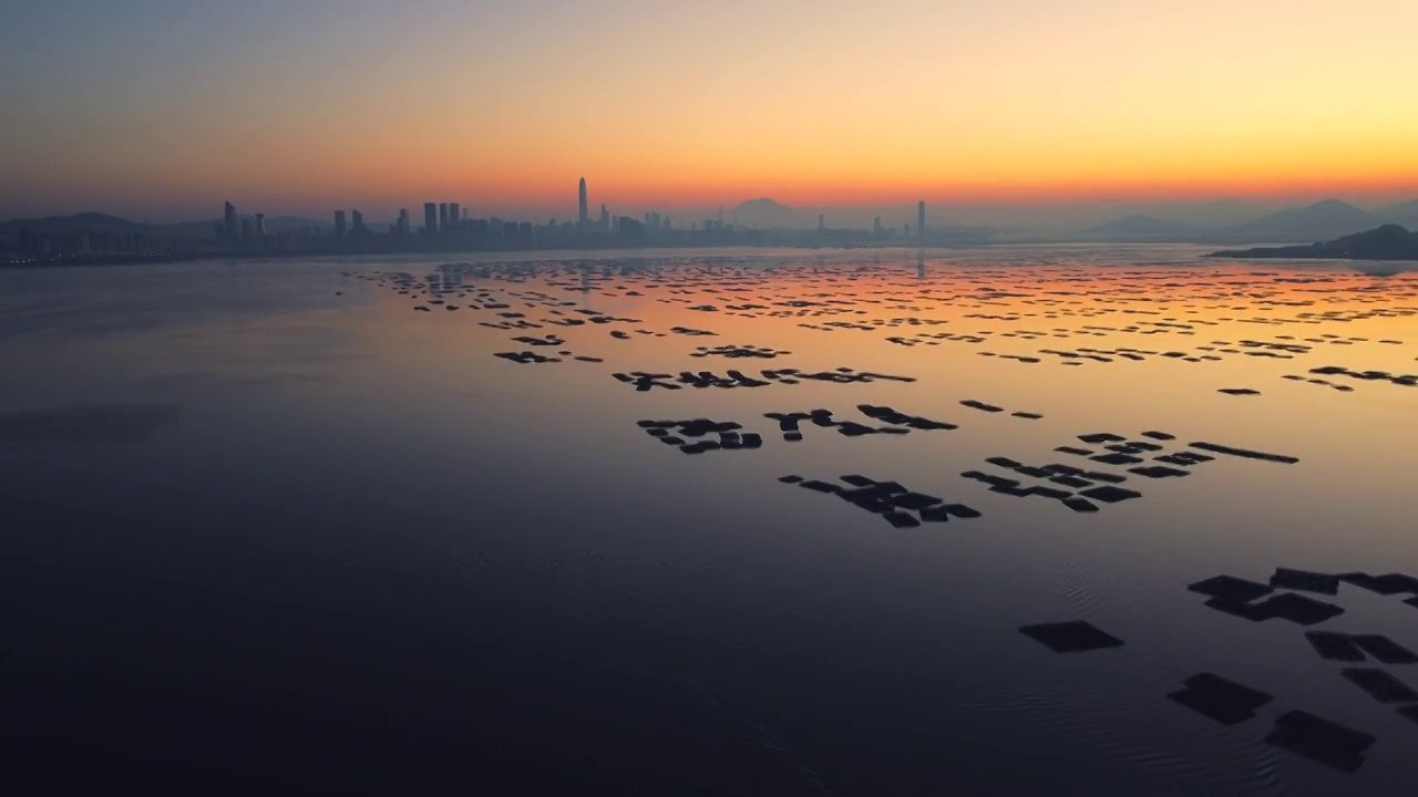 深圳湾视频素材