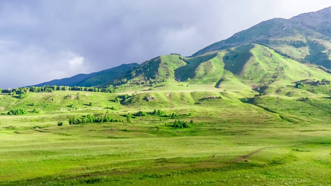 中国新疆喀纳斯景区山和绿色的草原自然风光航拍视频素材