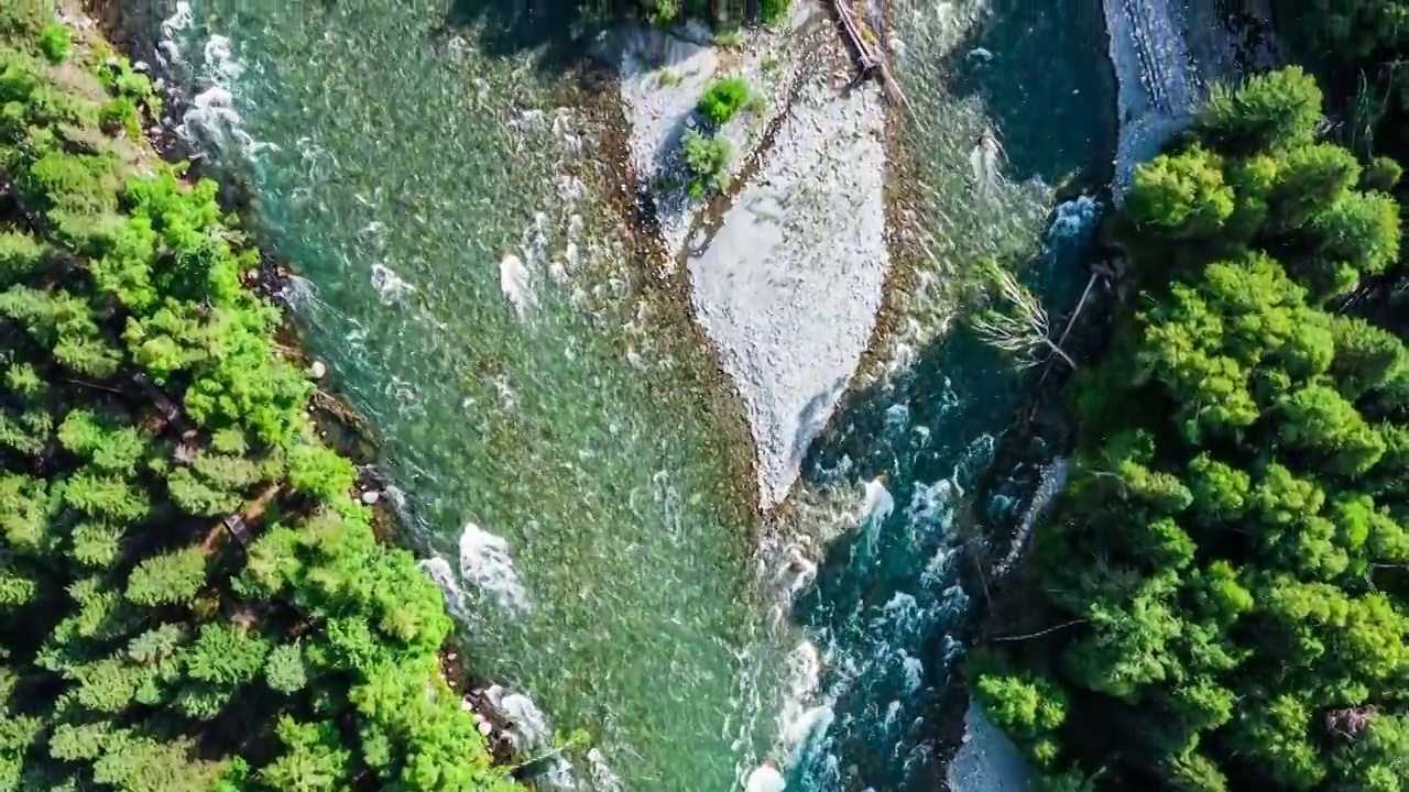 航拍河流和绿色的森林自然风光在中国新疆喀纳斯视频素材