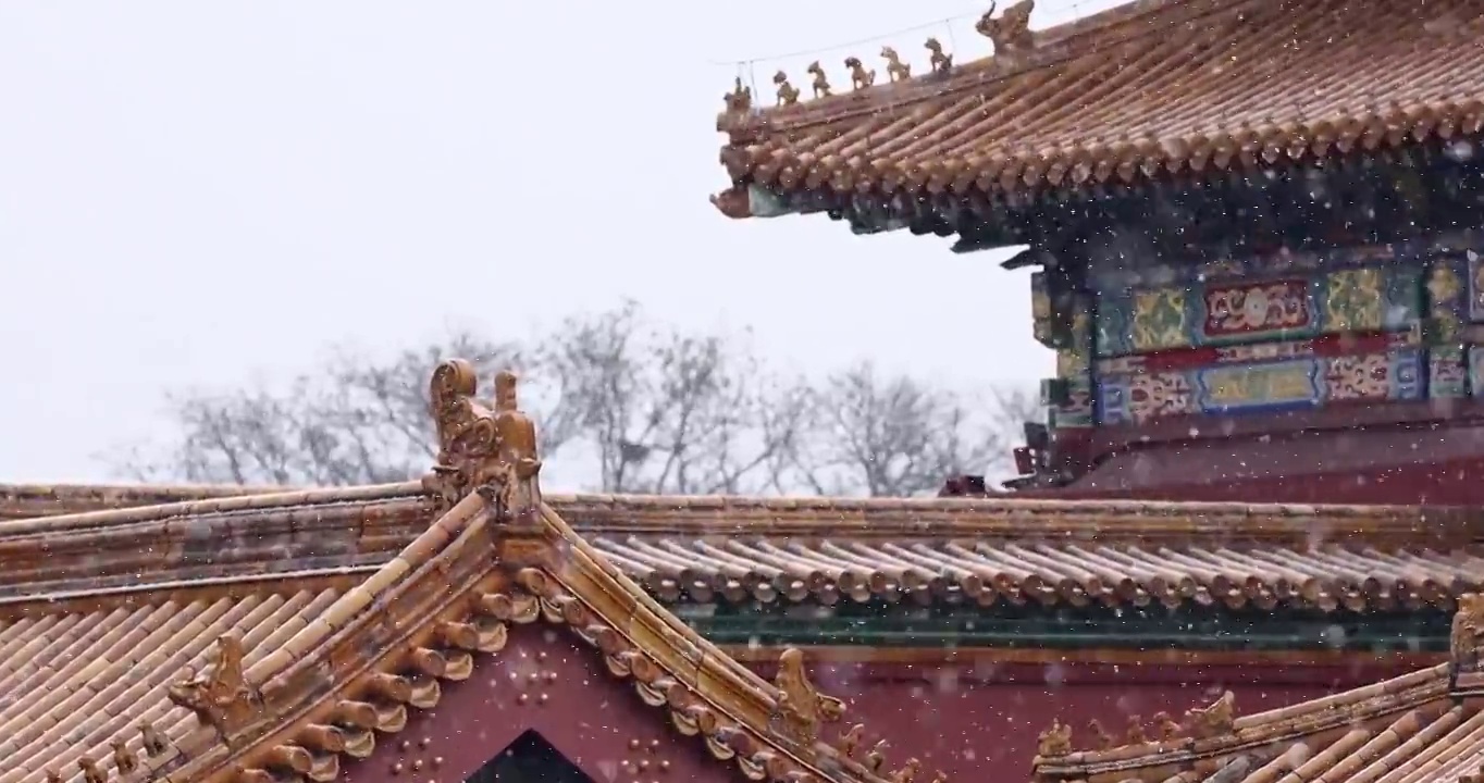 故宫雪景，紫禁城，红墙，宫墙，柱子，雪，雪花，屋脊，屋檐，中国风，雪景，冬天，大雪，小雪，屋脊兽视频素材