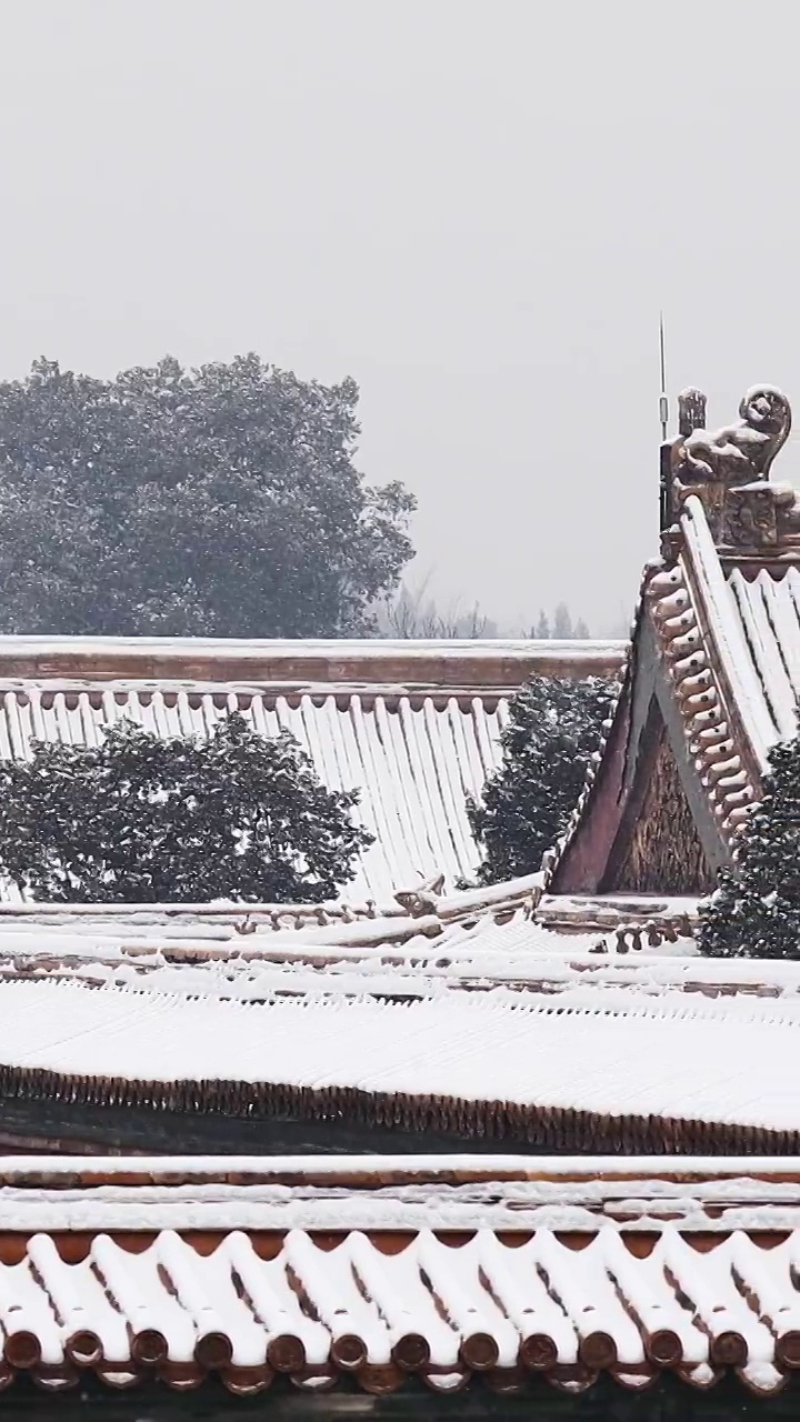 北京故宫雪景，屋脊，屋脊兽，屋檐，宫墙，雪，雪花，冬天，建筑结构，立冬，冬至，节气，中国文化，中国风视频素材