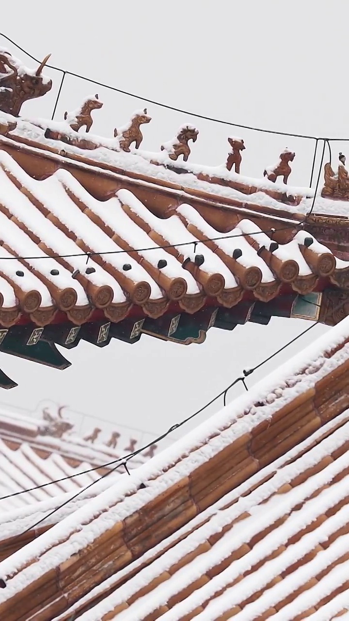 北京故宫雪景，屋脊，屋脊兽，屋檐，宫墙，雪，雪花，冬天，建筑结构，立冬，冬至，节气，中国文化，中国风视频素材