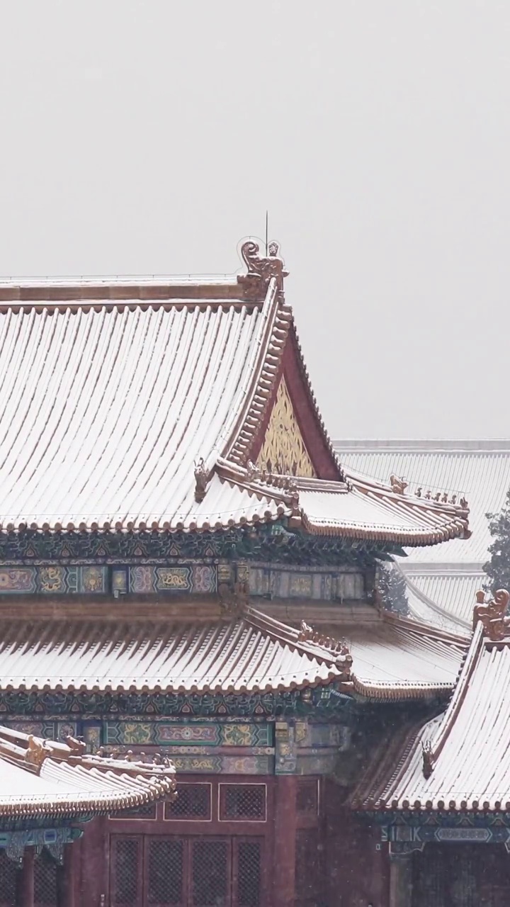 北京故宫雪景，屋脊，屋脊兽，屋檐，宫墙，雪，雪花，冬天，建筑结构，立冬，冬至，节气，中国文化，中国风视频素材