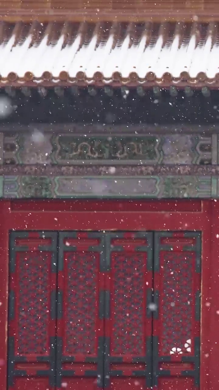 北京故宫雪景，屋脊，屋脊兽，屋檐，宫墙，雪，雪花，冬天，建筑结构，立冬，冬至，节气，中国文化，中国风视频素材