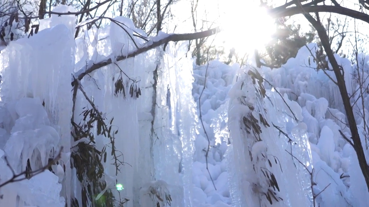 冰雪树挂雾凇雪景视频素材