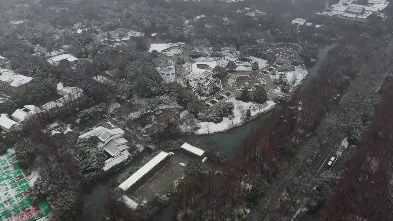 杭州花圃雪景航拍视频素材