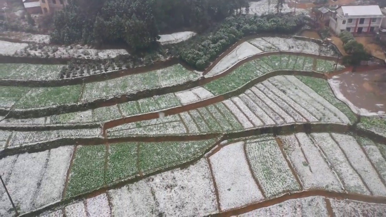 新禾乡村雪景视频素材