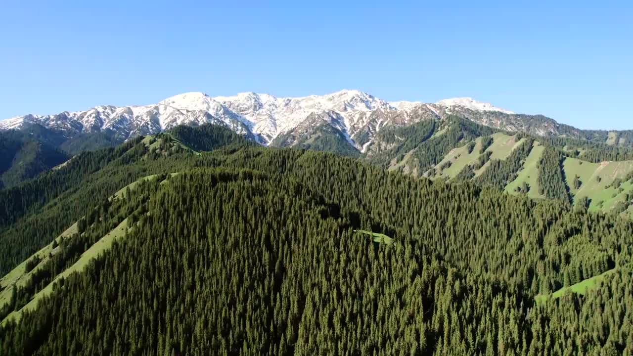 中国西部新疆维吾尔自治区伊犁赛里木湖风景区果子沟大桥视频素材