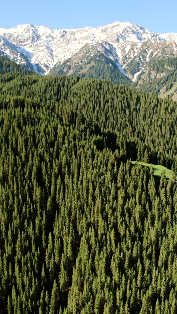 中国西部新疆维吾尔自治区伊犁赛里木湖风景区果子沟大桥视频素材