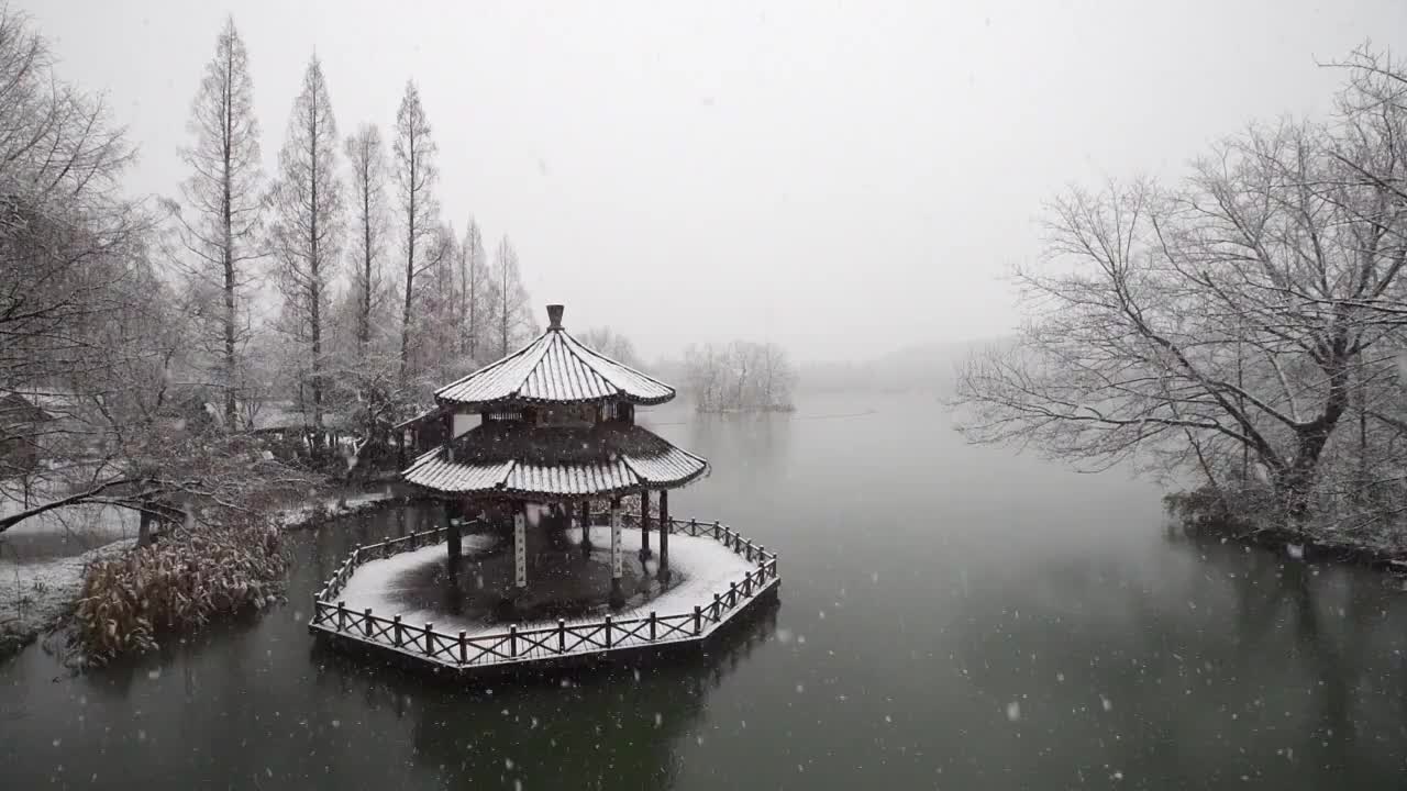 杭州西湖景区茅家埠黛色参天落雪慢动作视频素材