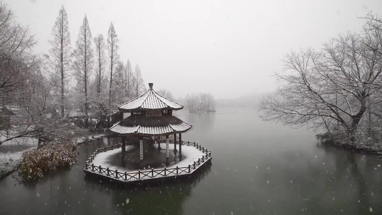 杭州西湖景区茅家埠黛色参天落雪视频素材