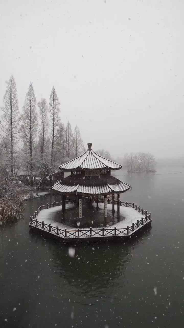 杭州西湖景区茅家埠黛色参天落雪视频素材