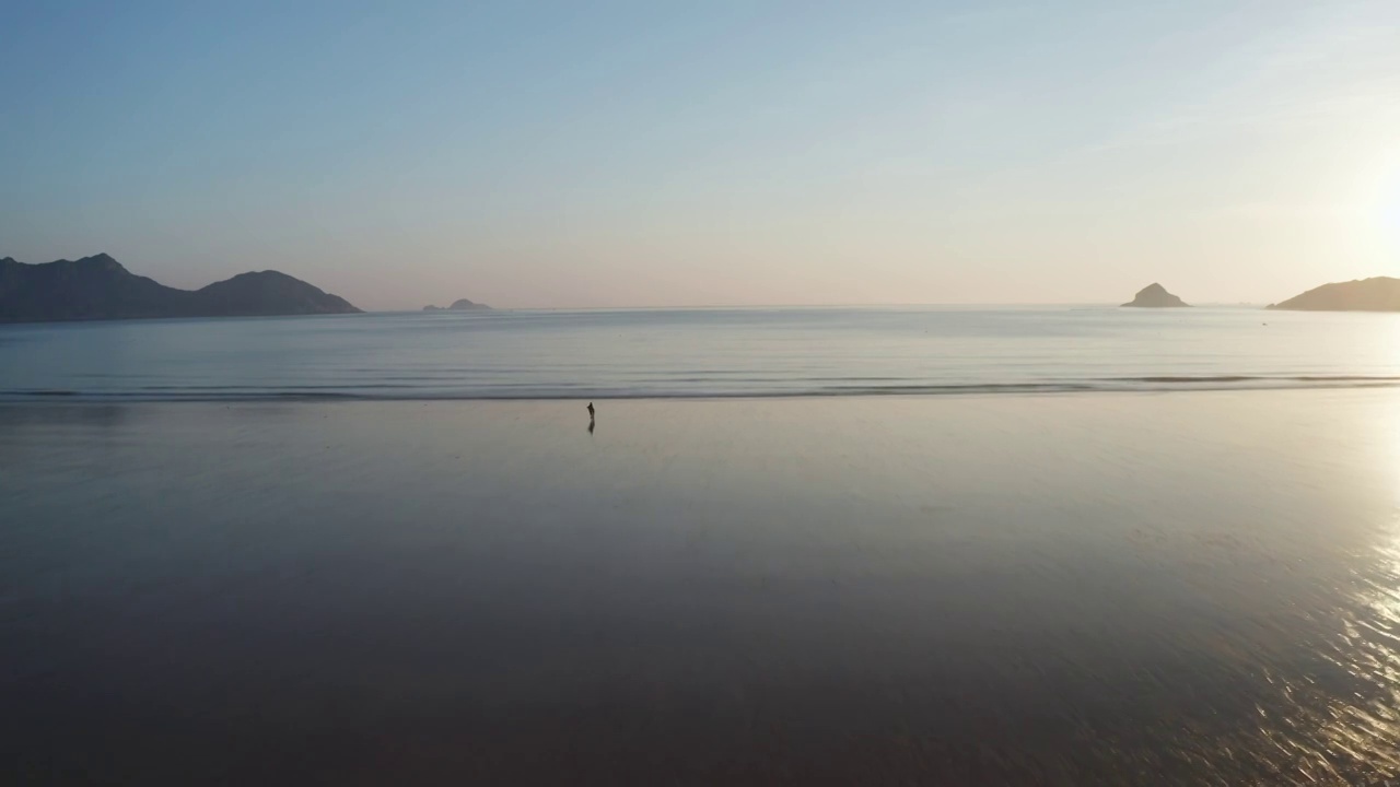 航拍退潮后在沙滩上赶海捡贝壳的人视频素材