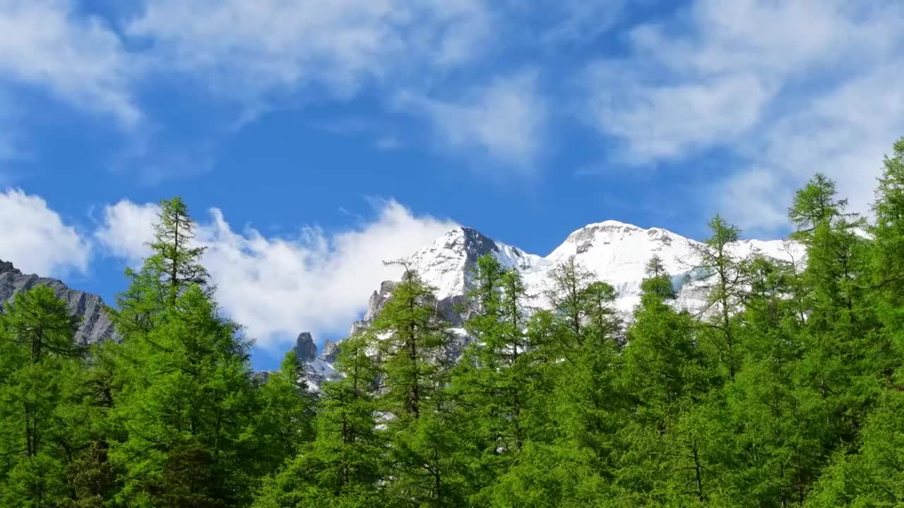 稻城亚丁雪山森林视频素材