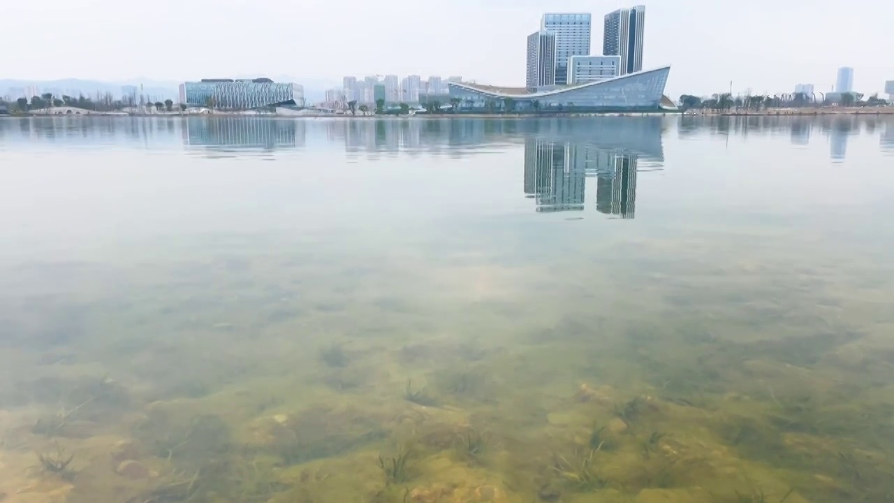 成都东安湖体育公园湖景2视频下载