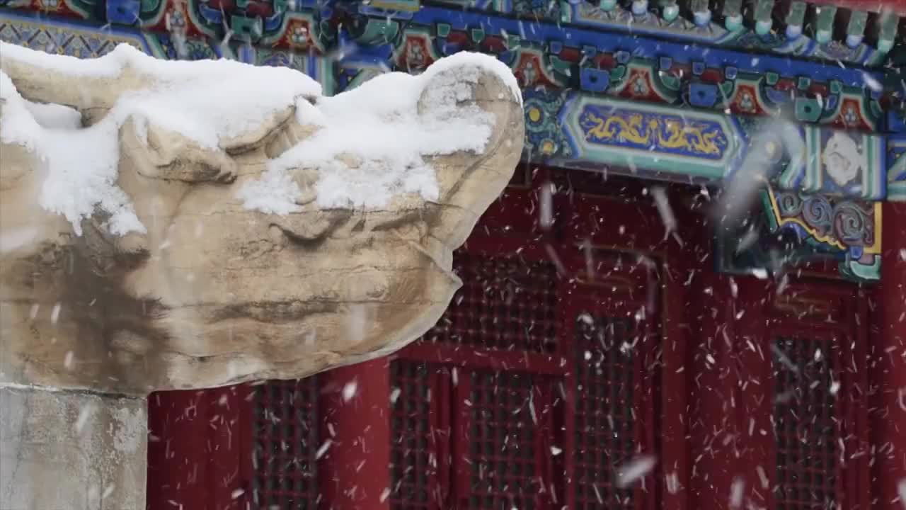 大雪纷飞故宫紫禁城视频素材