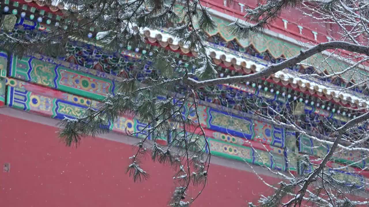 故宫雪景视频下载