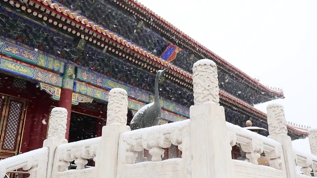 故宫丹鹤雪景视频素材