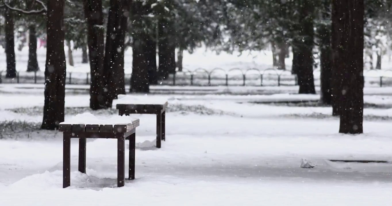 冬天，下雪的天气，森林中的长椅。视频素材