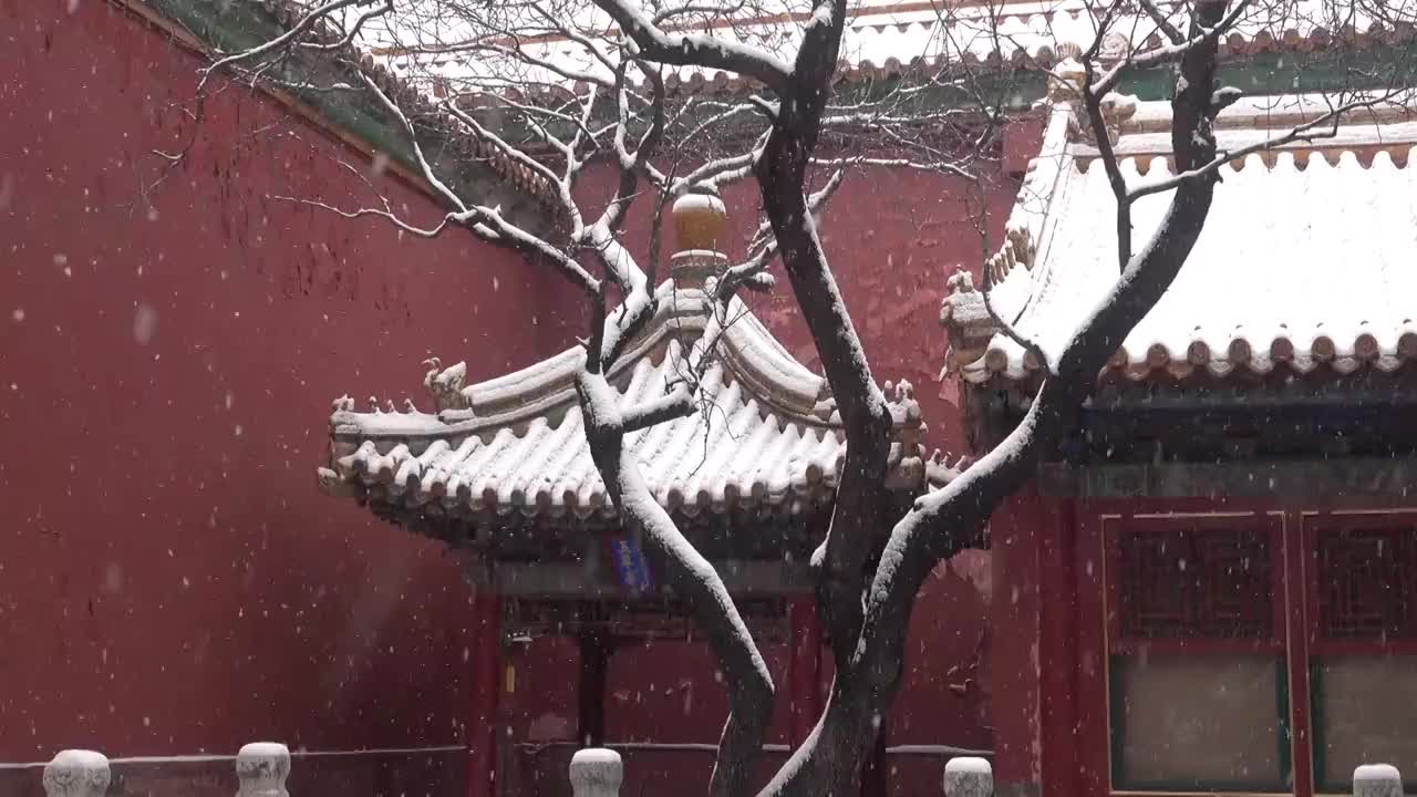 瑞雪故宫御花园玉翠亭视频素材