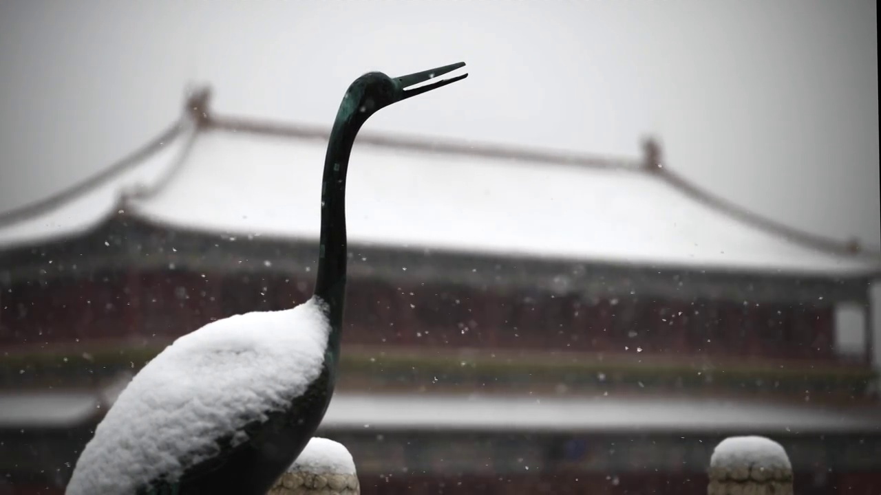 故宫春雪4K视频视频素材