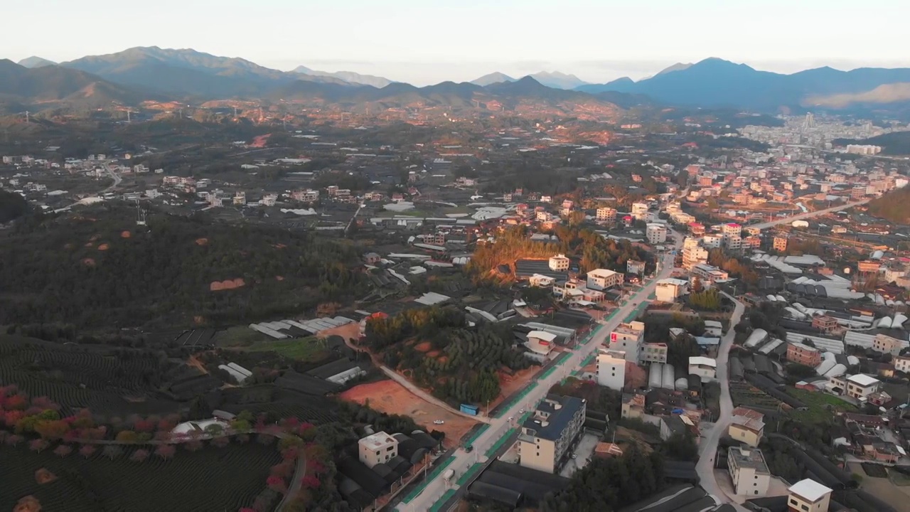 福建省,龙岩市,漳平市,永福樱花园,台品樱花园视频素材