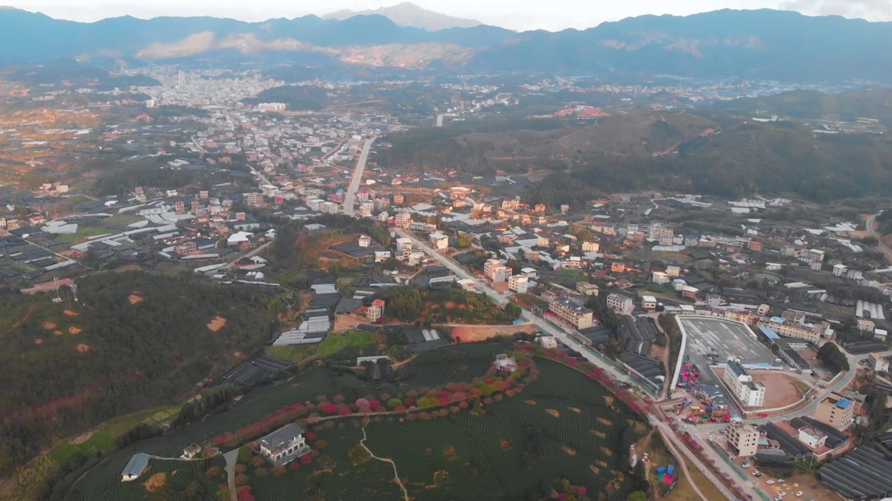 福建省,龙岩市,漳平市,永福樱花园,台品樱花园视频素材