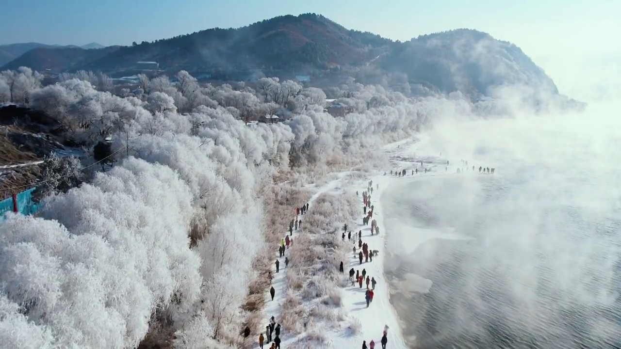 4k吉林雾凇航拍雪乡树挂松花江冬季风光视频素材