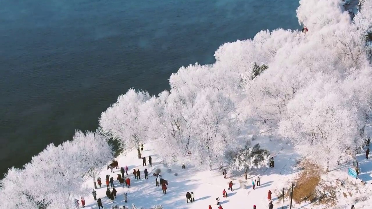 4k吉林雾凇航拍雪乡树挂松花江冬季风光视频素材