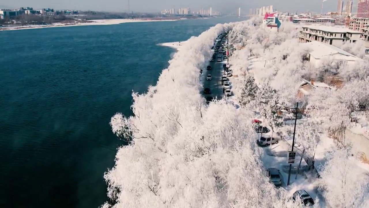 4k吉林雾凇航拍雪乡树挂松花江冬季风光视频素材