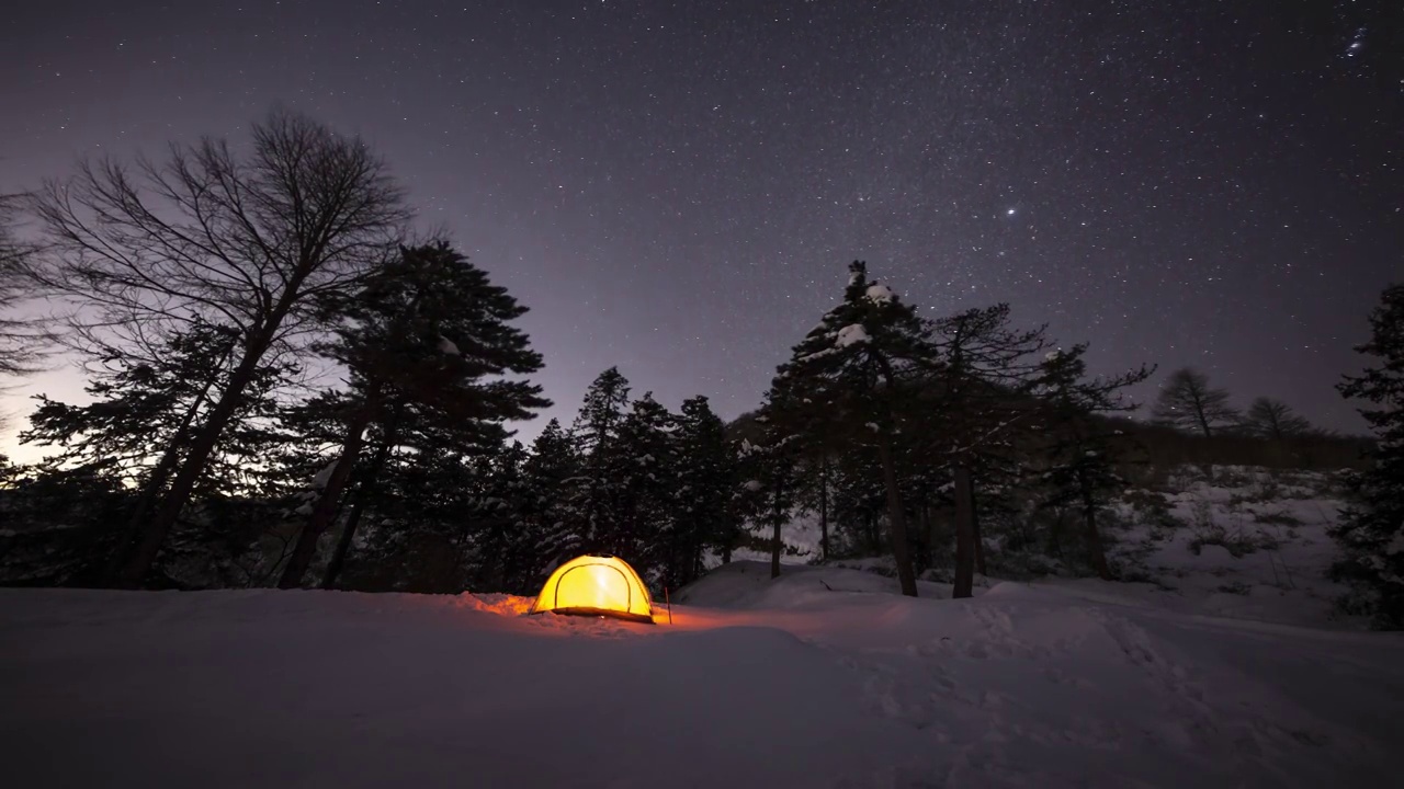 雪中森林露营星空视频下载