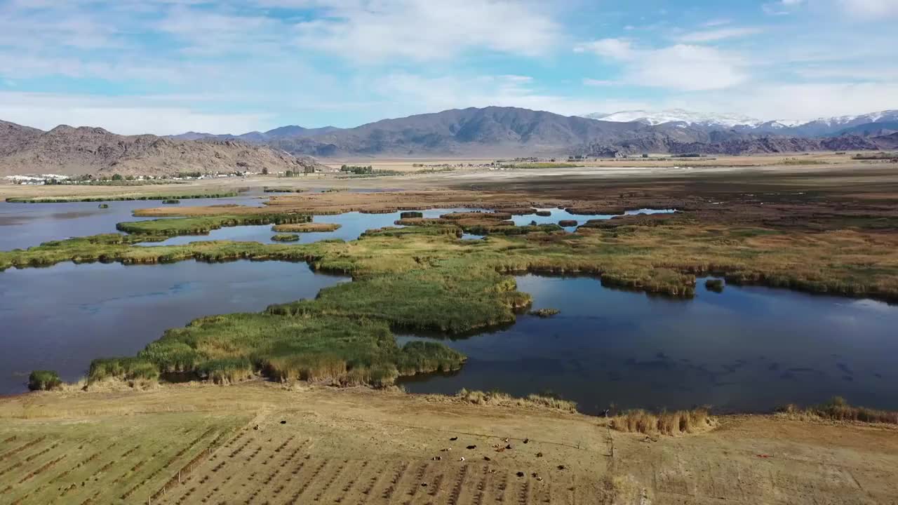 新疆阿勒泰富蕴县可可托海可可苏里野鸭湖湖泊芦苇湿地自然风光视频素材