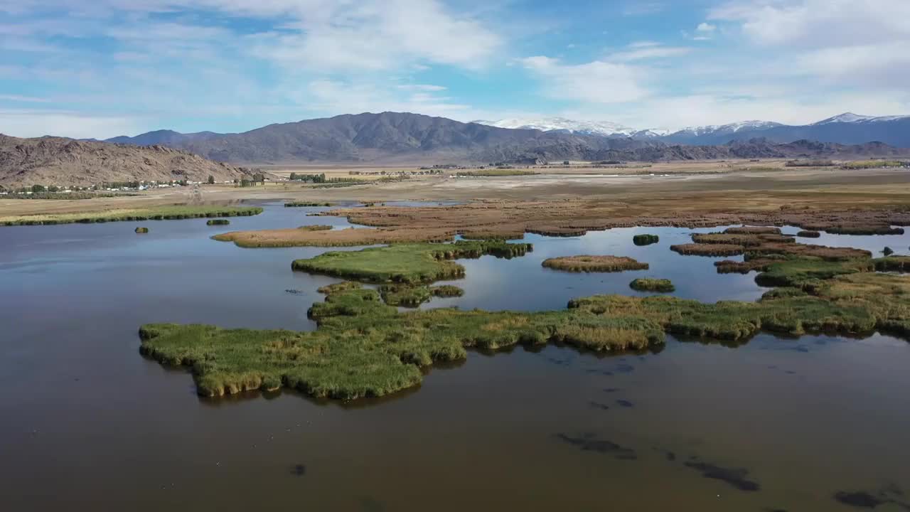 新疆阿勒泰富蕴县可可托海可可苏里野鸭湖湖泊芦苇湿地自然风光视频素材