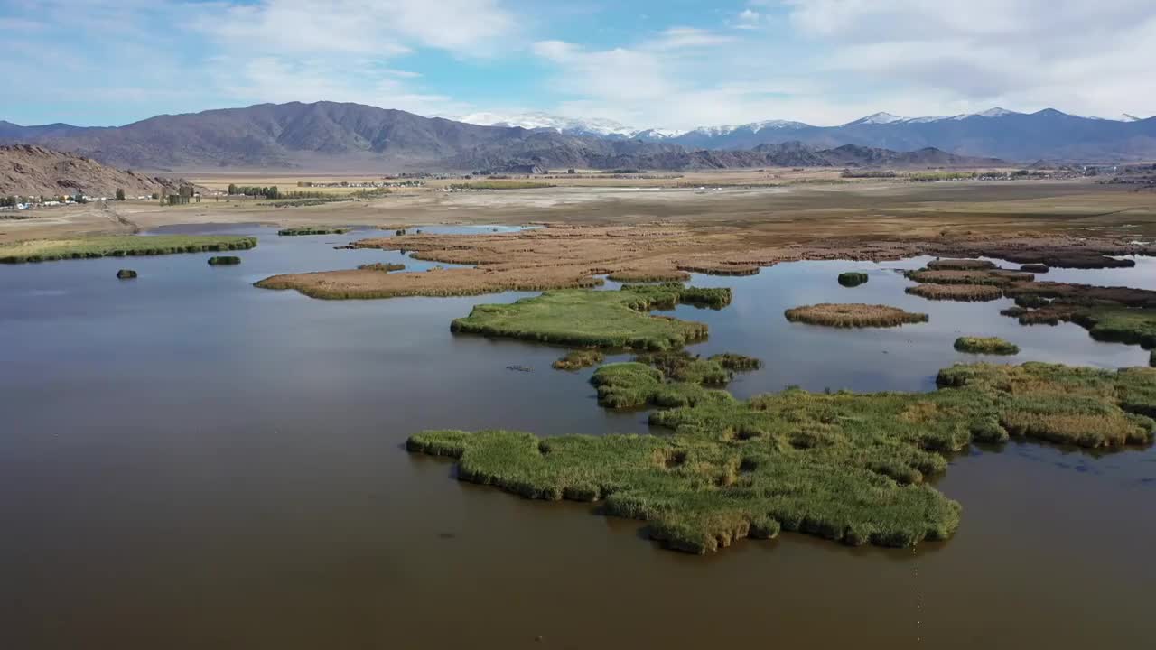 新疆阿勒泰富蕴县可可托海可可苏里野鸭湖湖泊芦苇湿地自然风光视频素材