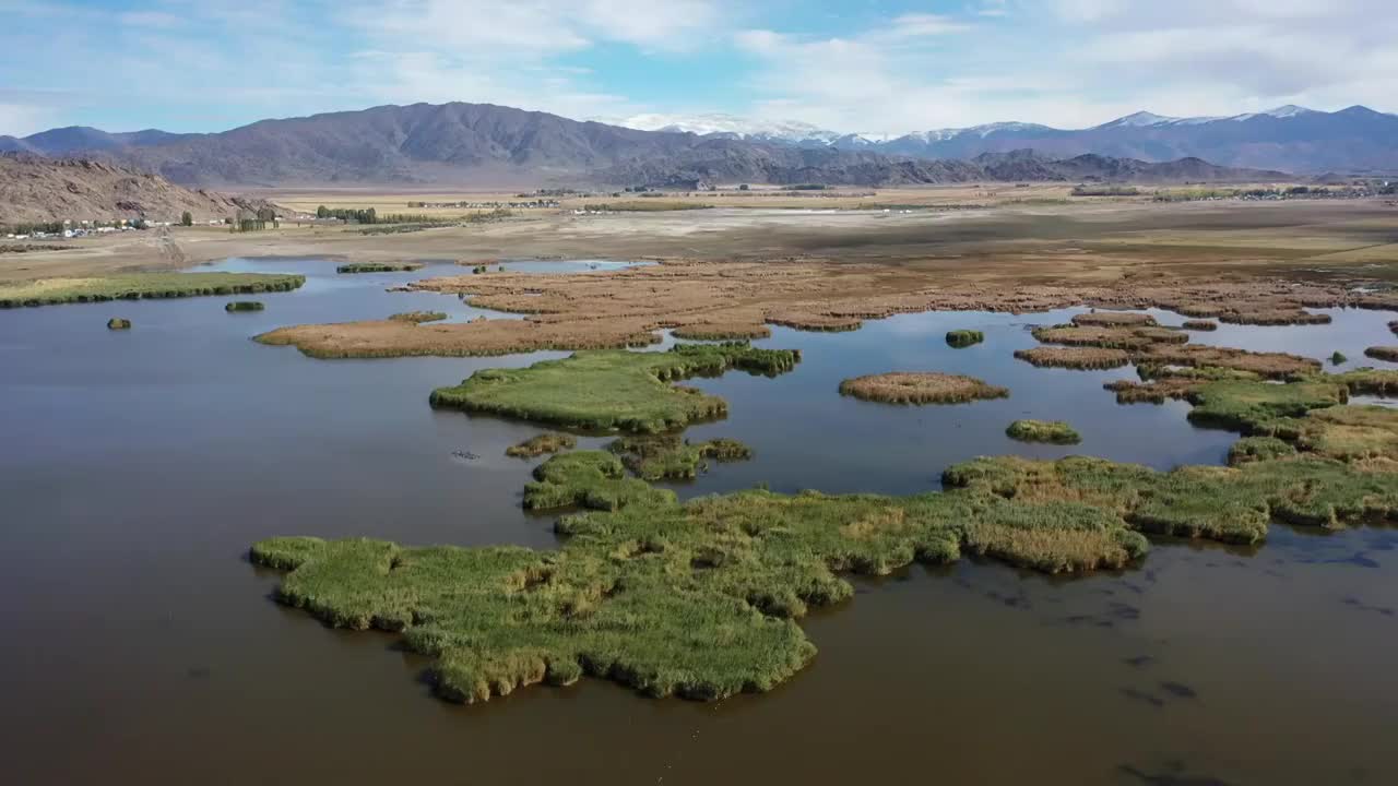 新疆阿勒泰富蕴县可可托海可可苏里野鸭湖湖泊芦苇湿地自然风光视频素材