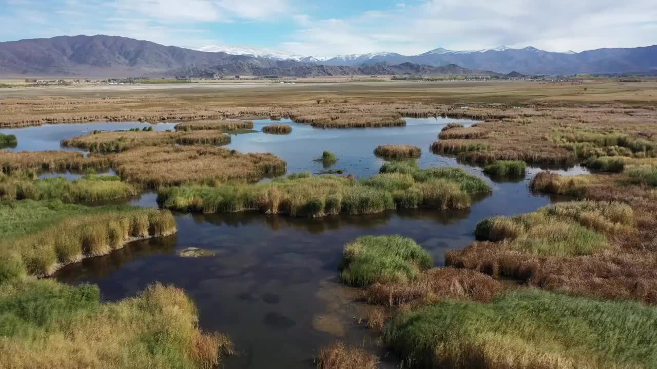 新疆阿勒泰富蕴县可可托海可可苏里野鸭湖湖泊芦苇湿地自然风光视频素材