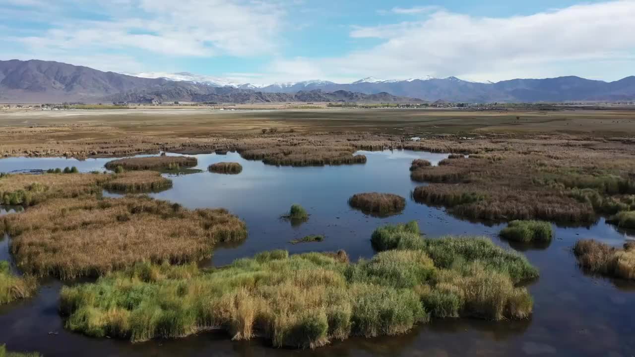 新疆阿勒泰富蕴县可可托海可可苏里野鸭湖湖泊芦苇湿地自然风光视频素材