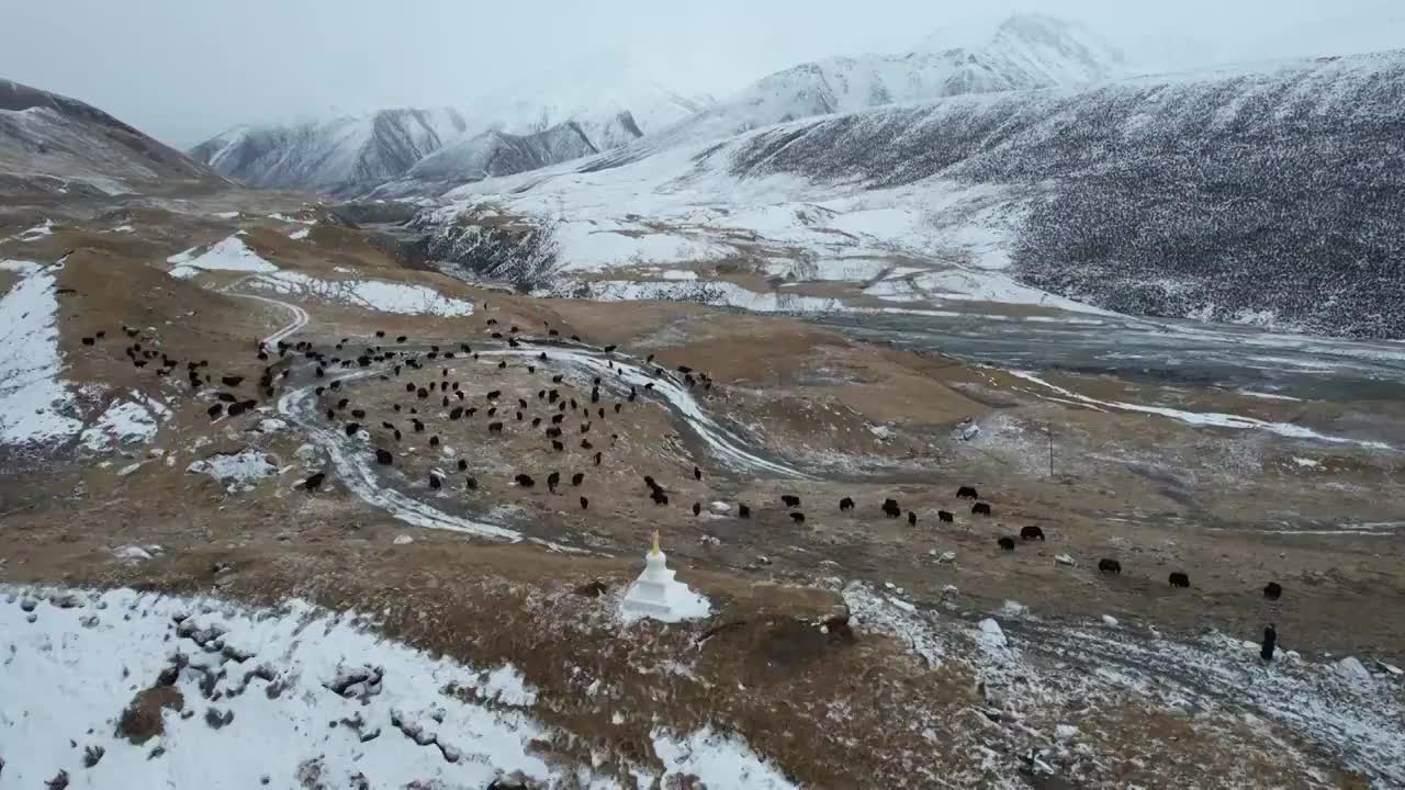 青海果洛州玛沁县阿尼玛卿山区雪山乡冬季高原乡村自然风光视频素材