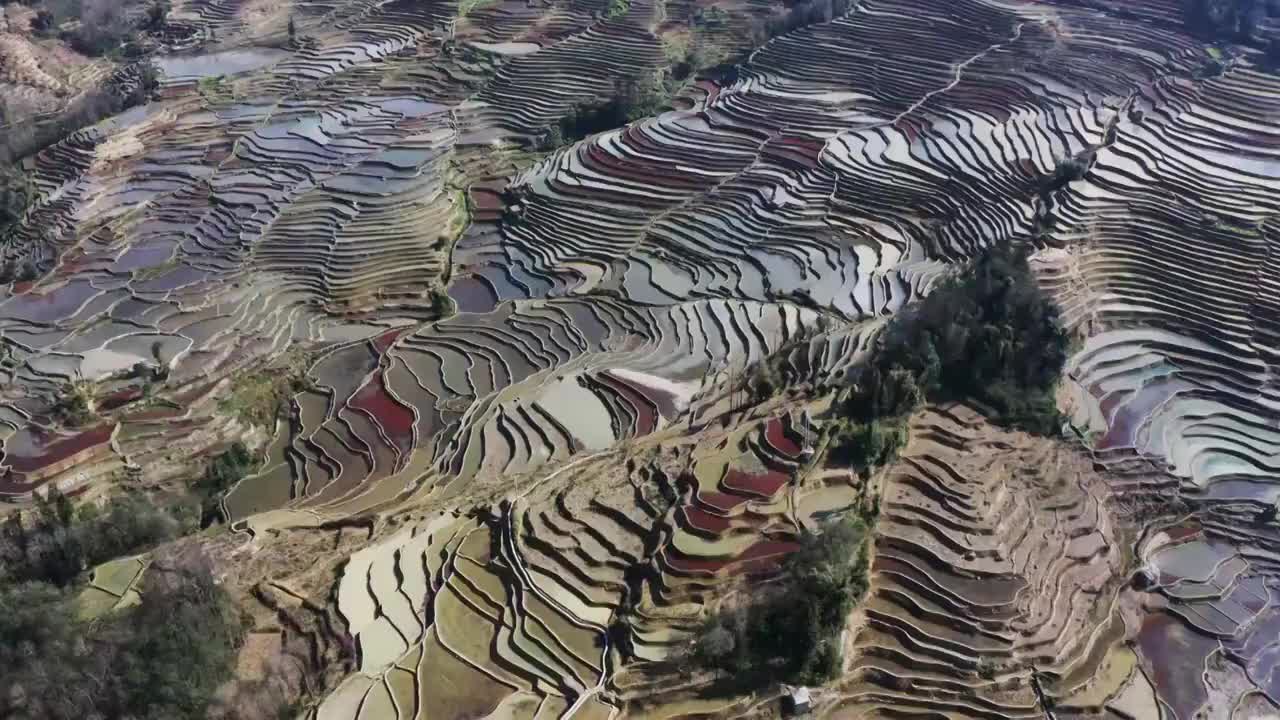 梯田的航拍视角，多彩的红河哈尼梯田视频素材