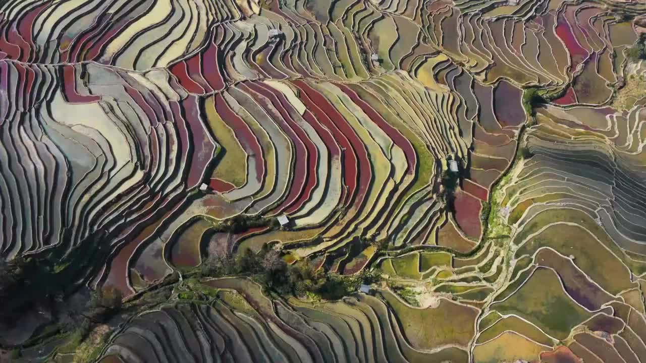 梯田的航拍视角，多彩的红河哈尼梯田视频素材