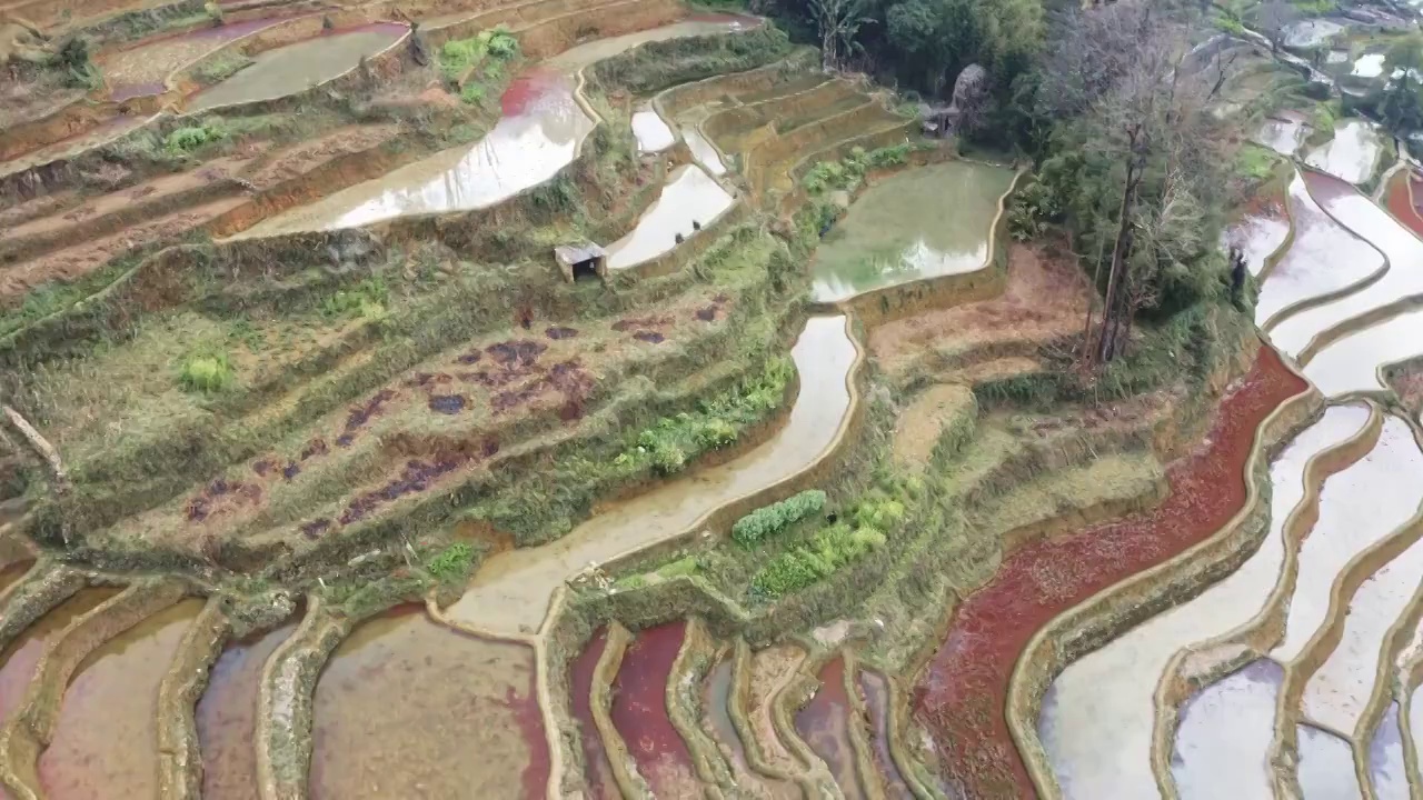 多彩的梯田，航拍红河哈尼梯田的纹理与色彩视频素材