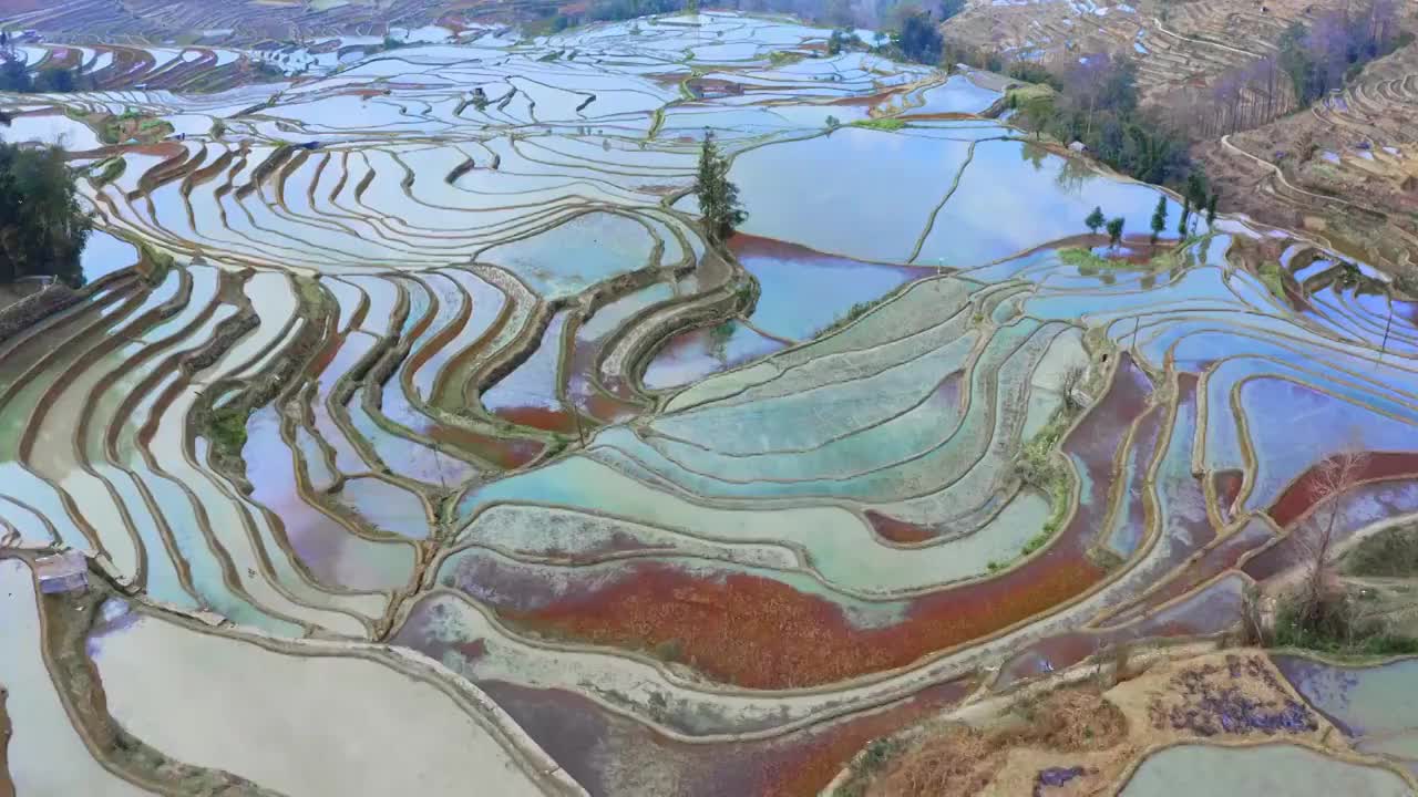 梯田的丰富色彩与纹理的航拍视角，云南红河哈尼梯田视频素材