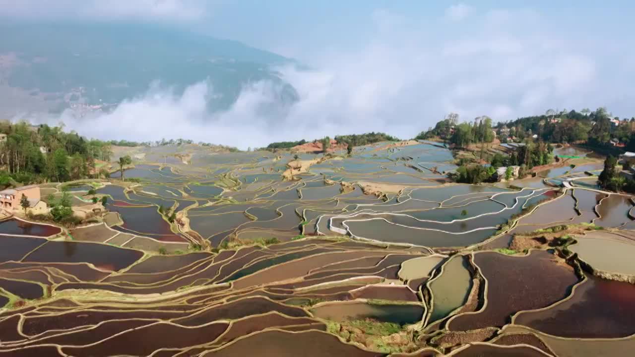 云南梯田视频素材