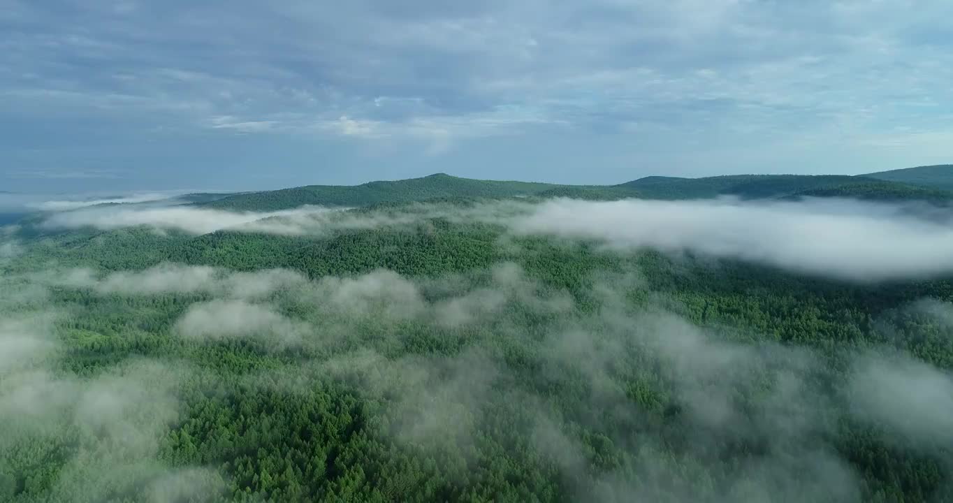 航拍大兴安岭泰加林原始森林云海视频素材